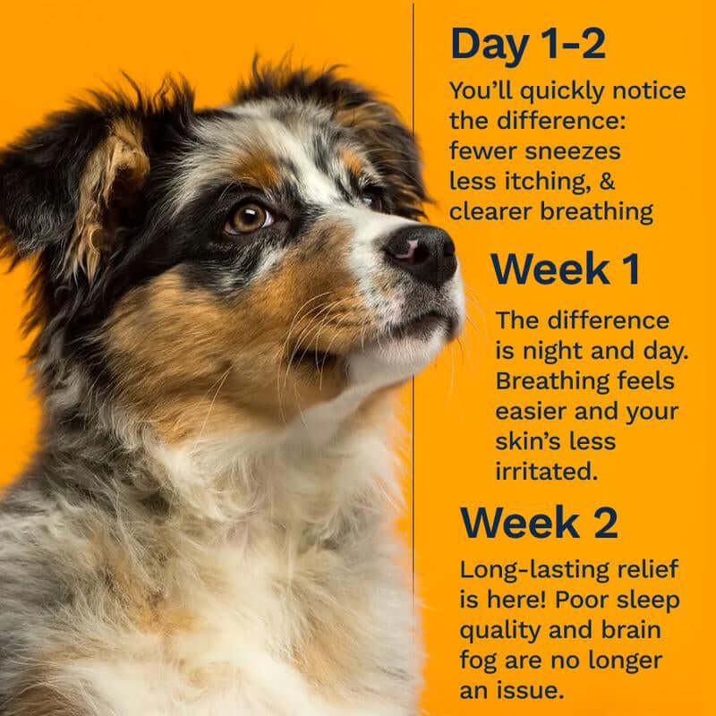 PACAGEN Dog Allergen Neutralizing Spray for Home Use - Neutralizes Dog Allergens on Contact - Allergist Recommended