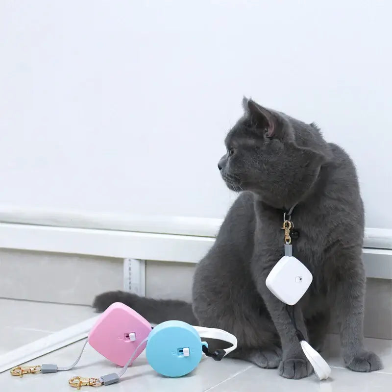 S2ac9c6673cd44164b4a0a486c1ea74cbQ