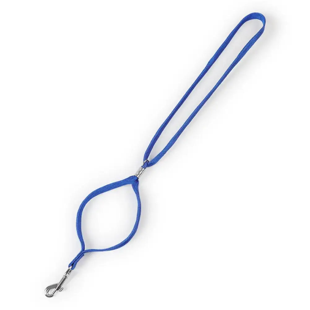 S2bad0b3d70c14f9c98d4930c64746558O