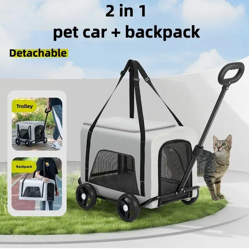 S2c645cffa38d4b579477be79807e3e395