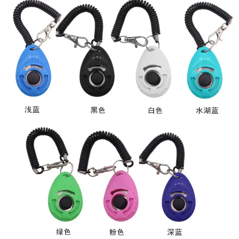 S381537eabc944e06ab5c79409910f41c7