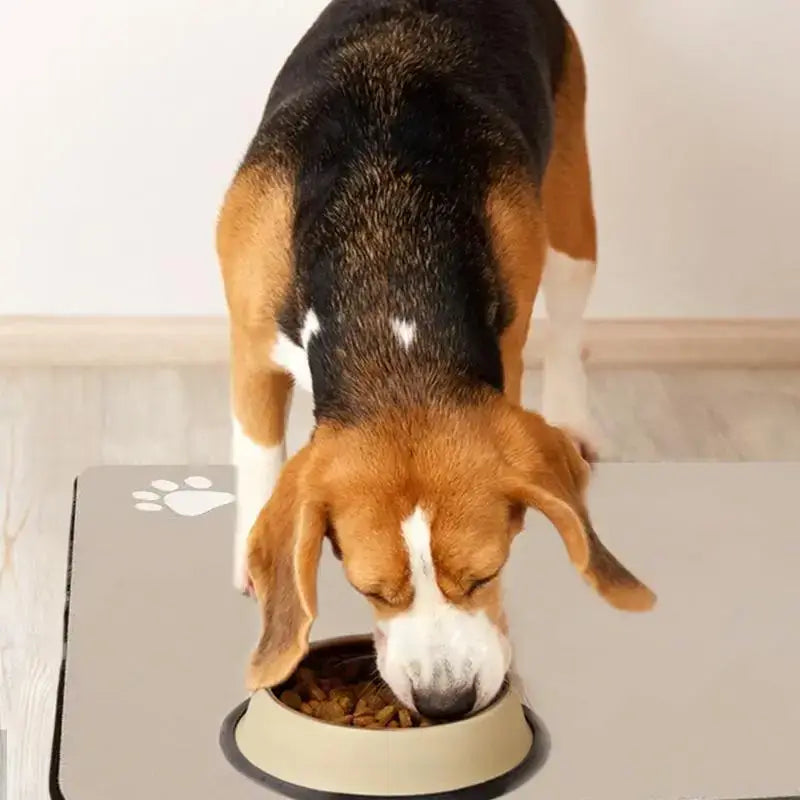 S5dc7fe70c73347d7ad9f7e3dcaa4c0cfc