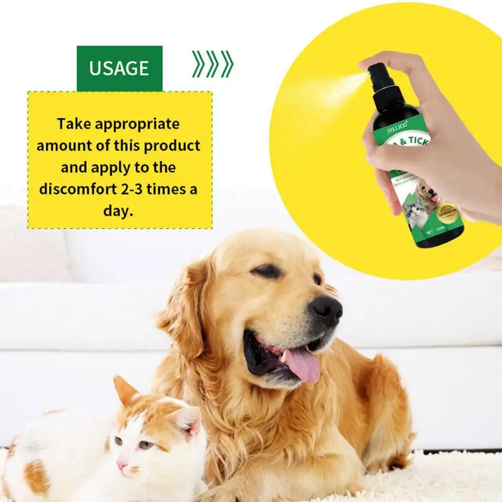 S6b584f64f5d9446588bddd78b7f22634c