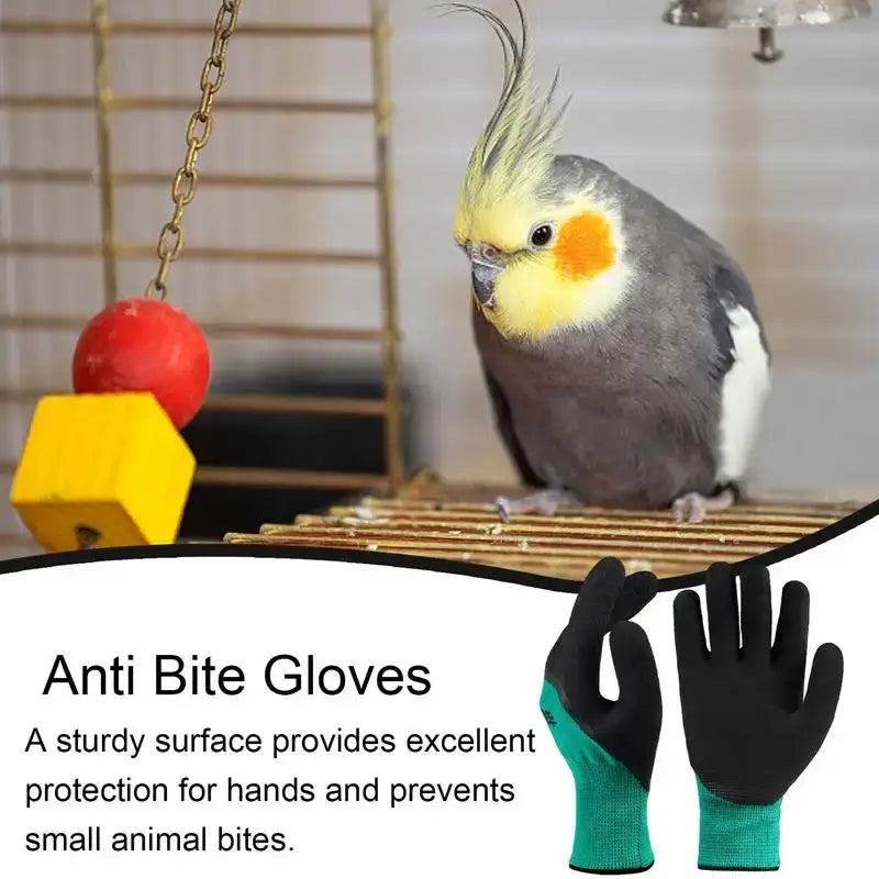 S9cbac175b6744cb089f137afa33e9f4aQ