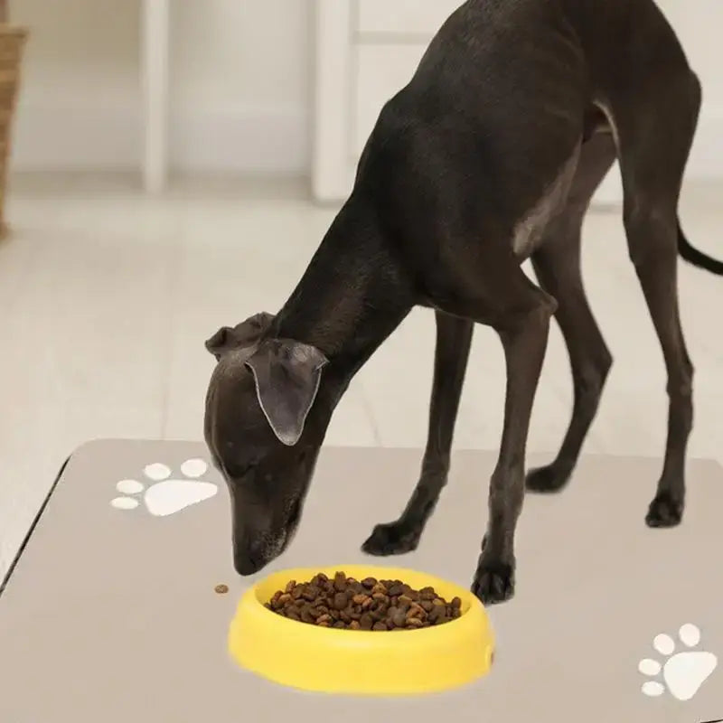 Sd54c74a65fba4e2da67750214b719f97W