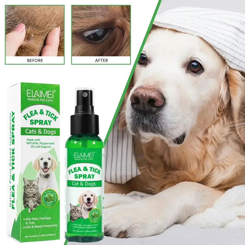 Se557bf9405d84c45bbce153e32b66978Y