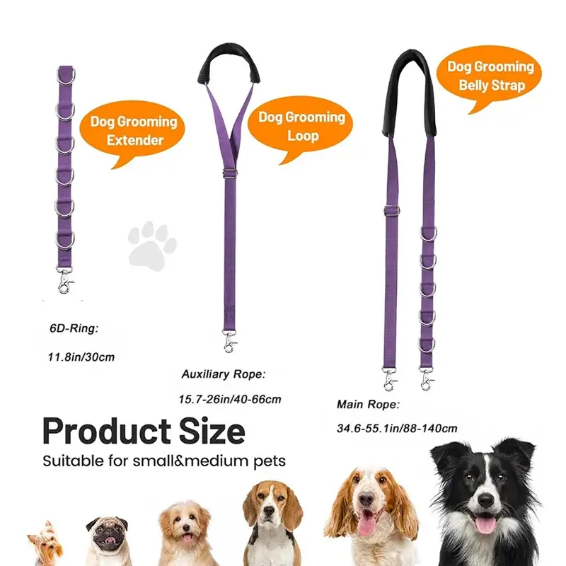 Sf9d9a2ee02dc496cac11c4bffacbccbaD