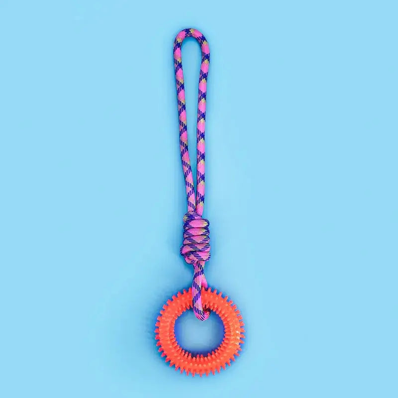 Sfc2e611ce7764502a510fa32cb1b4c16Q